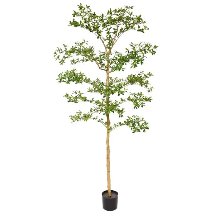 Bucida Buceras Kunstboom 210cm NT groen, natuurgetrouwe kunstplant