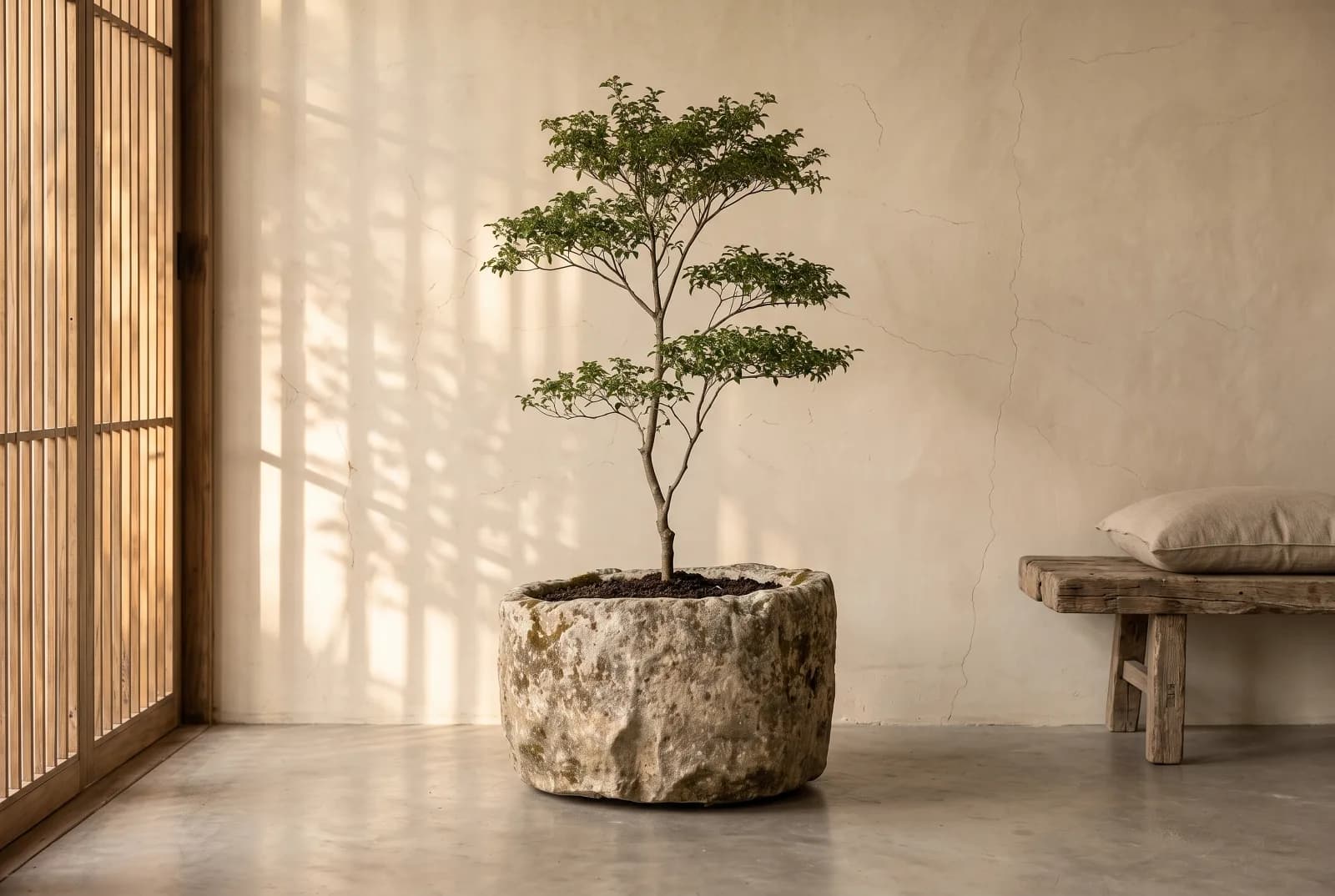 Natuurstenen pot, beige, rond en zwaar verweerd, verweerde kalksteen met natuurlijke patina, handgemaakt in Indonesië foto 8