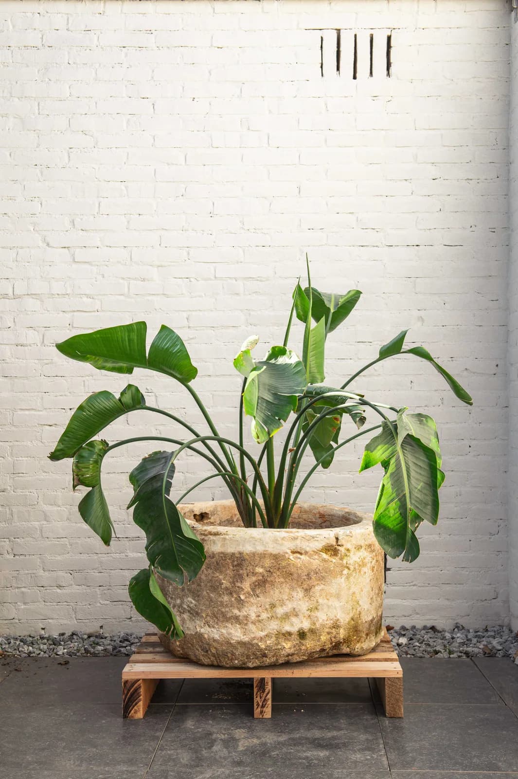 Natuurstenen pot met lichte patina, beige, rond (42×74), verweerde natuursteen met natuurlijke patina, handgemaakt in Indonesië foto 6