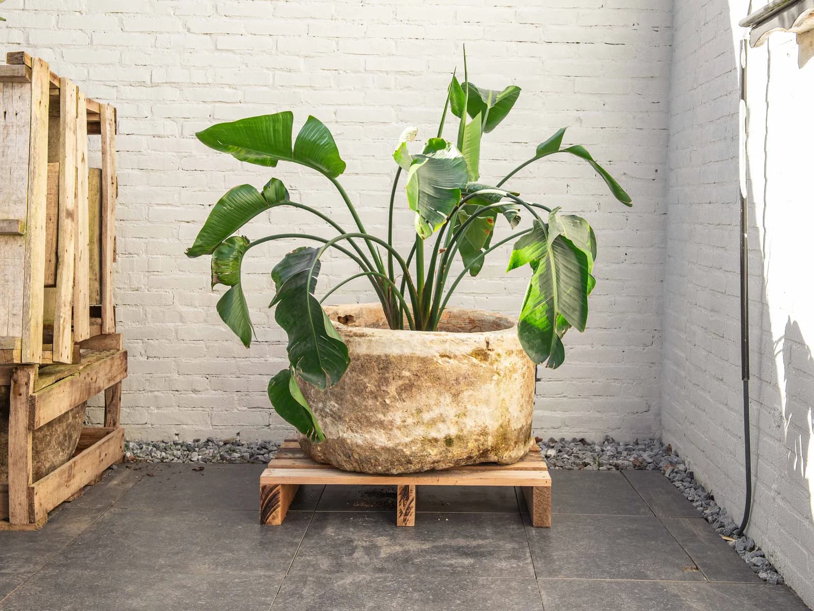 Natuurstenen pot met lichte patina, beige, rond (42×74), verweerde natuursteen met natuurlijke patina, handgemaakt in Indonesië foto 7