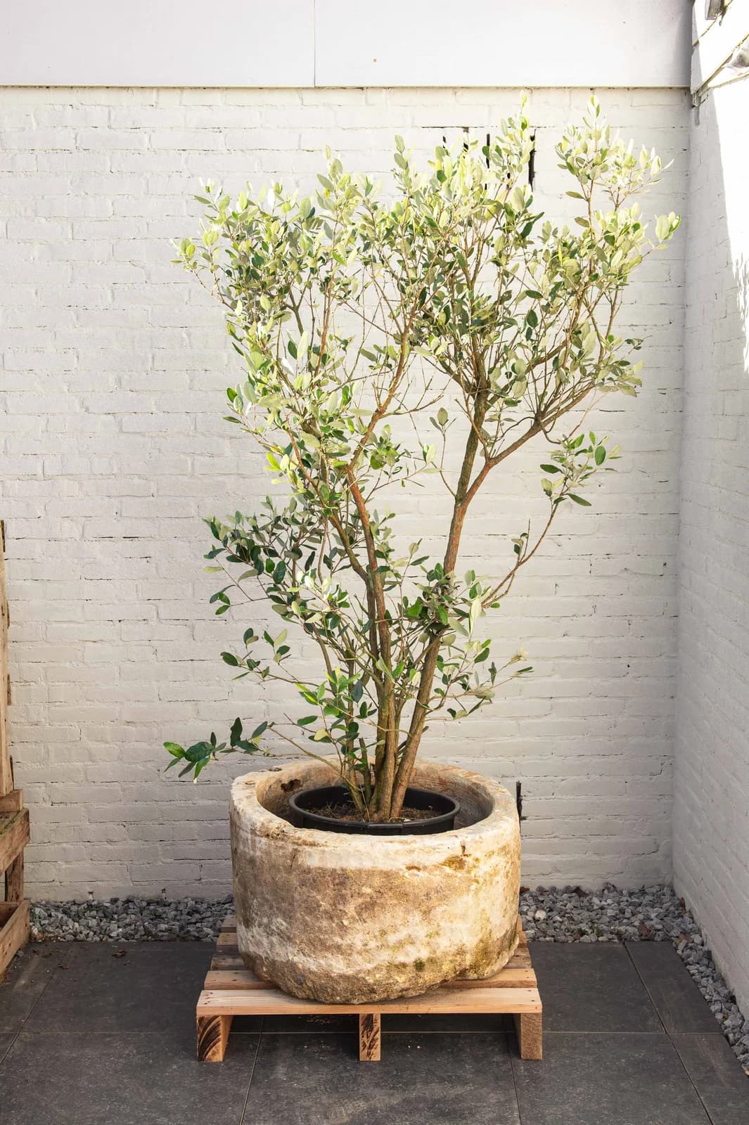 Natuurstenen pot met lichte patina, beige, rond (42×74), verweerde natuursteen met natuurlijke patina, handgemaakt in Indonesië foto 9