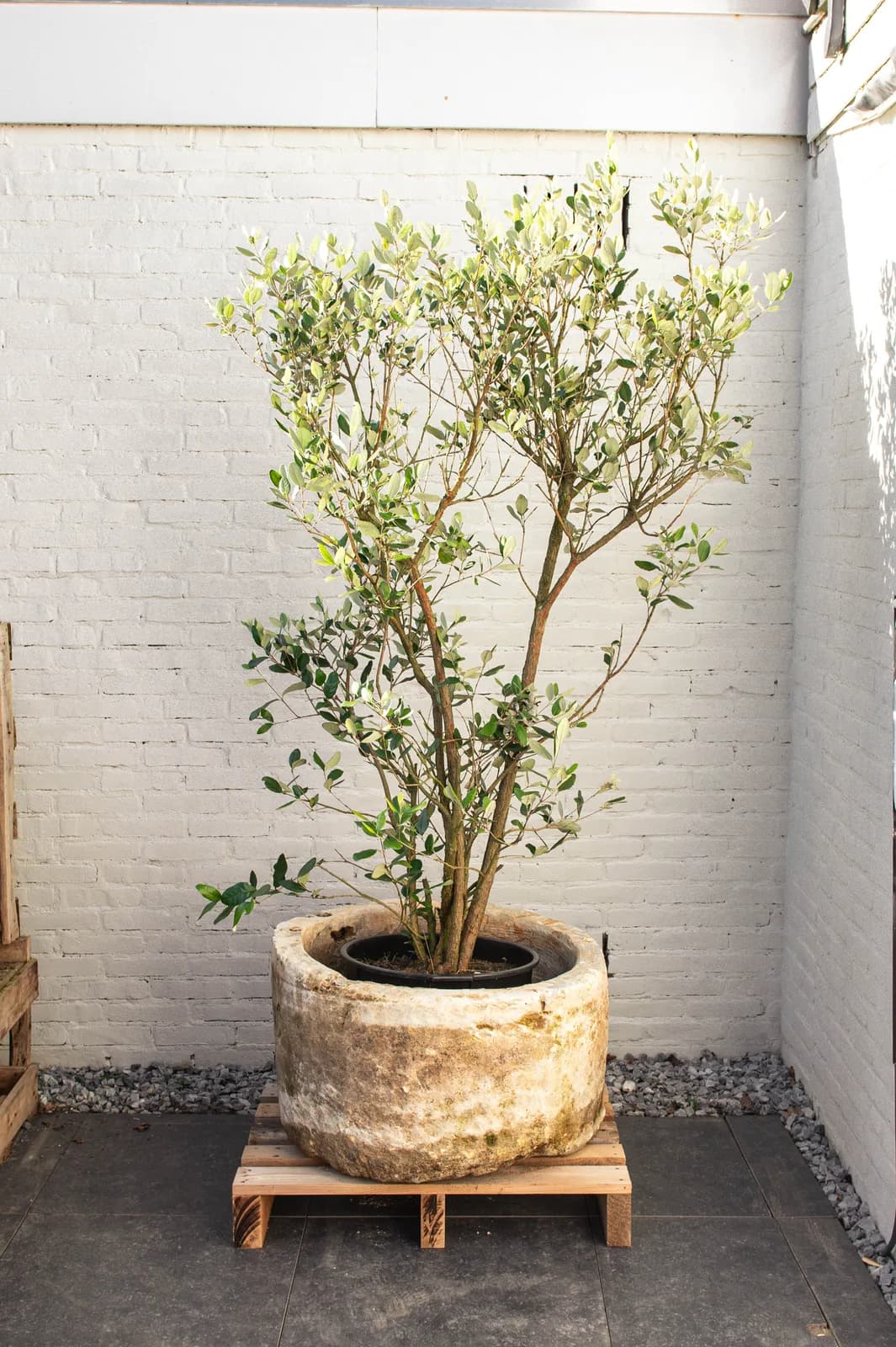 Natuurstenen pot met lichte patina, beige, rond (42×74), verweerde natuursteen met natuurlijke patina, handgemaakt in Indonesië foto 10