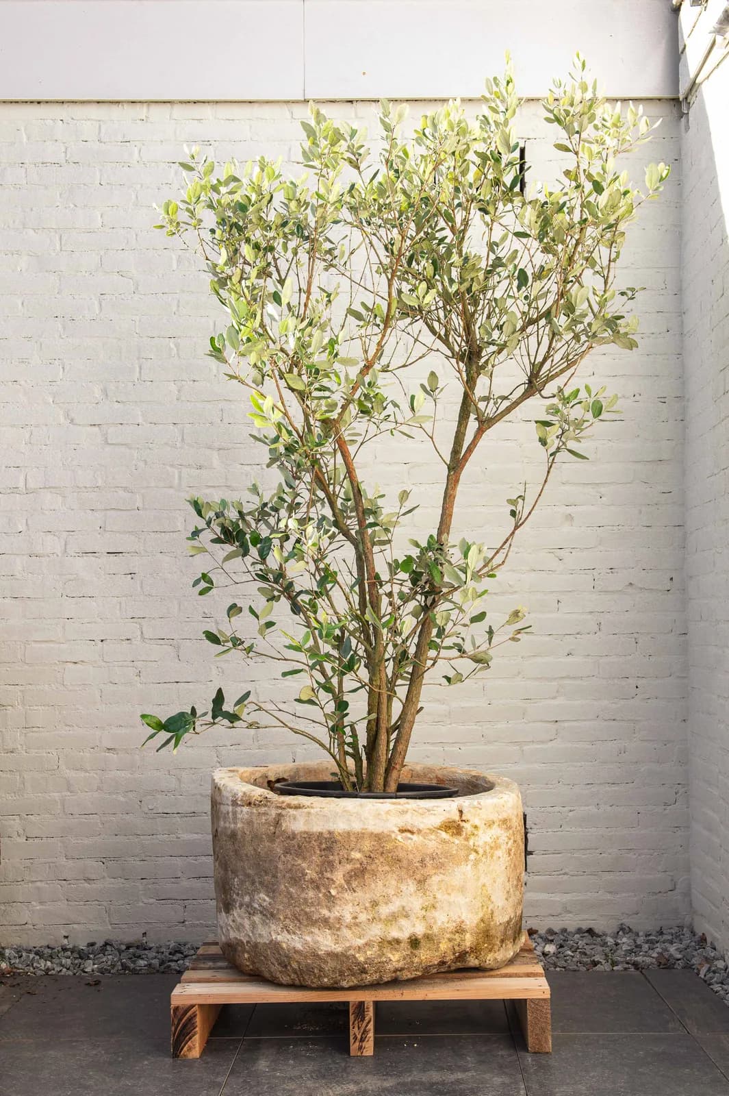 Natuurstenen pot met lichte patina, beige, rond (42×74), verweerde natuursteen met natuurlijke patina, handgemaakt in Indonesië foto 11