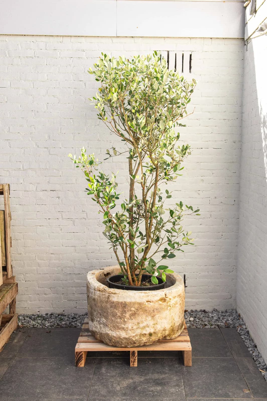 Natuurstenen pot met lichte patina, beige, rond (42×74), verweerde natuursteen met natuurlijke patina, handgemaakt in Indonesië foto 12