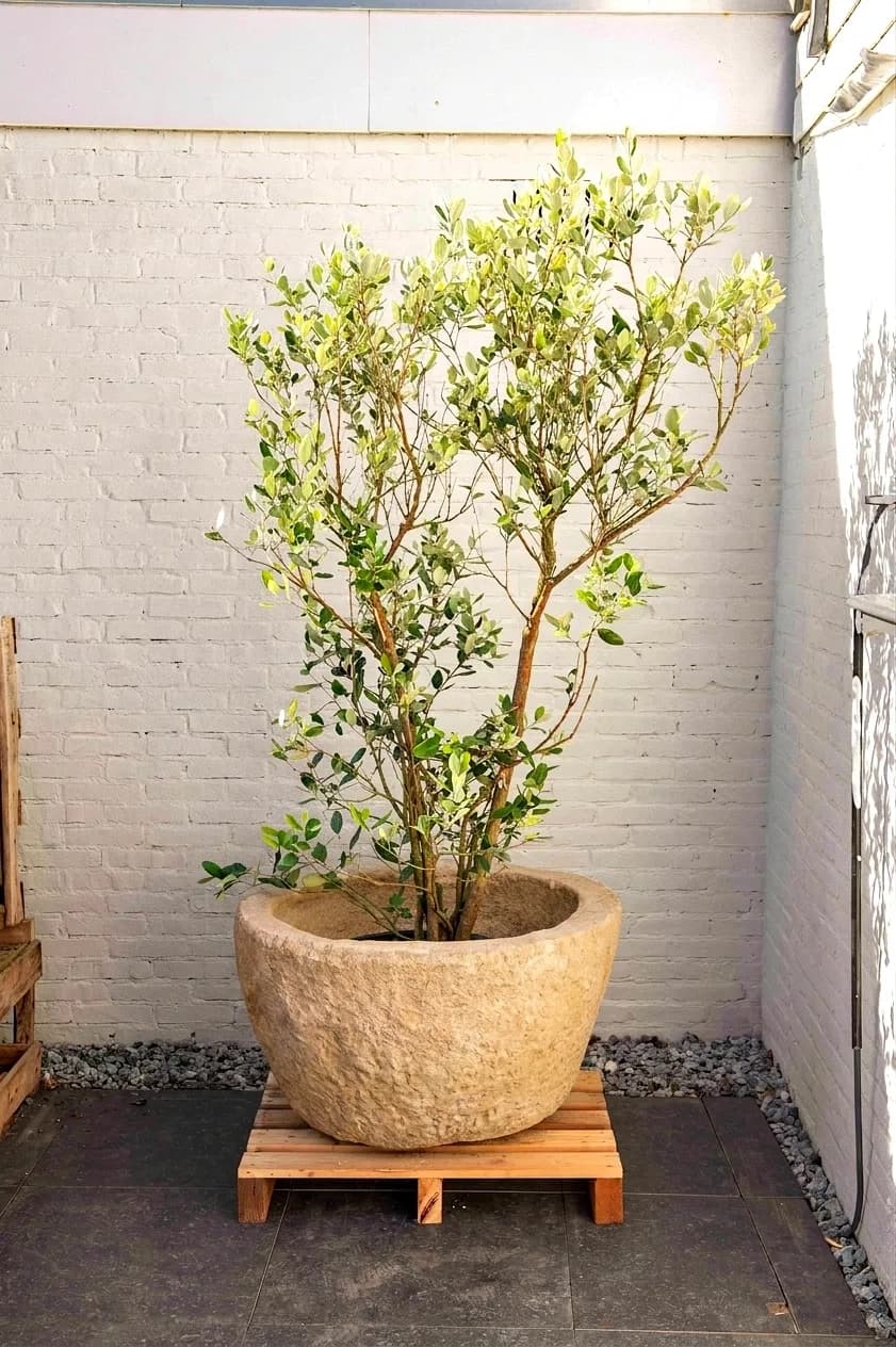 Antieke grijze jumbo plantenpot, rond (52×84), verweerde natuursteen met natuurlijke patina, handgemaakt in Indonesië foto 10