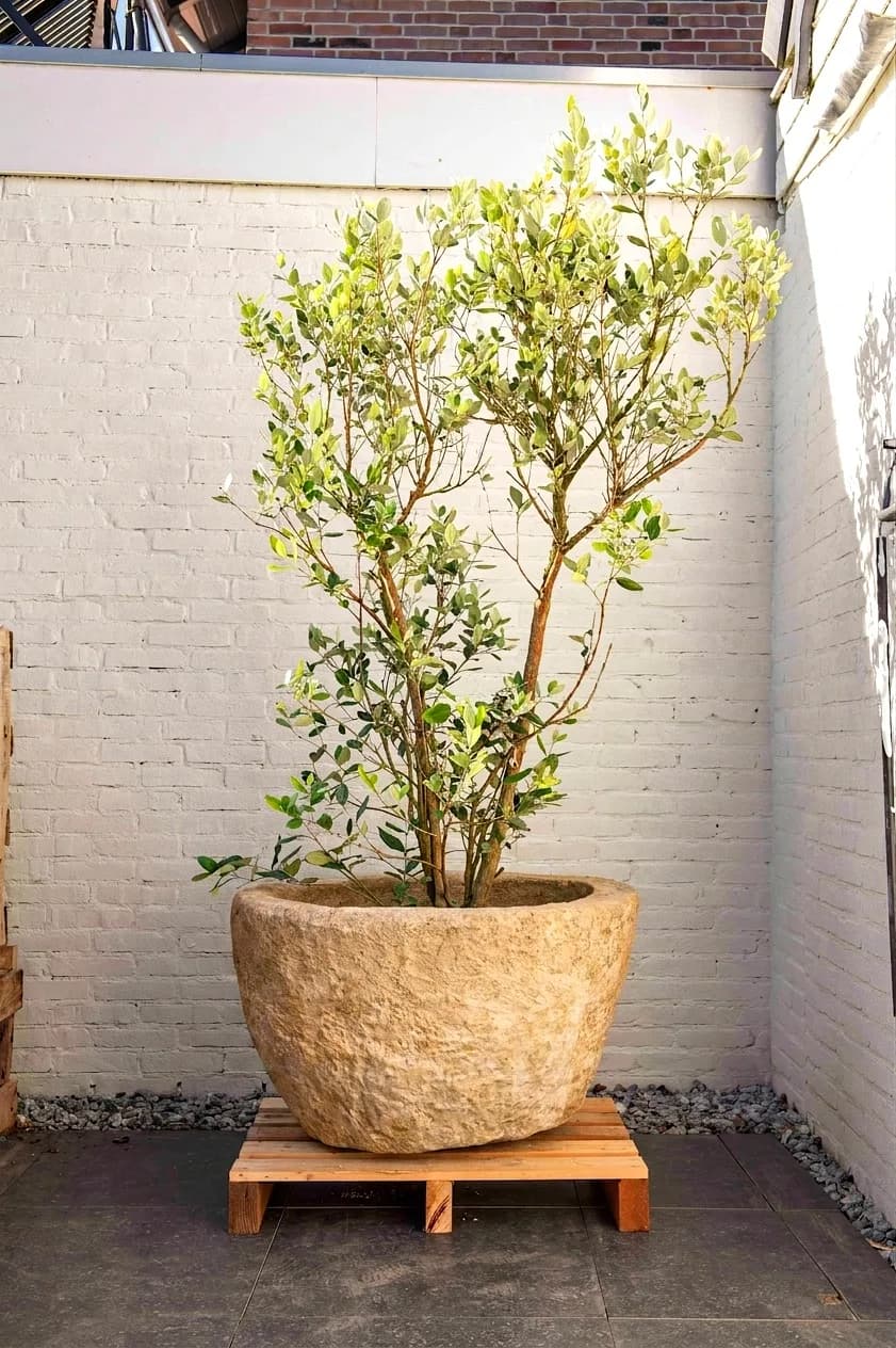 Antieke grijze jumbo plantenpot, rond (52×84), verweerde natuursteen met natuurlijke patina, handgemaakt in Indonesië foto 12