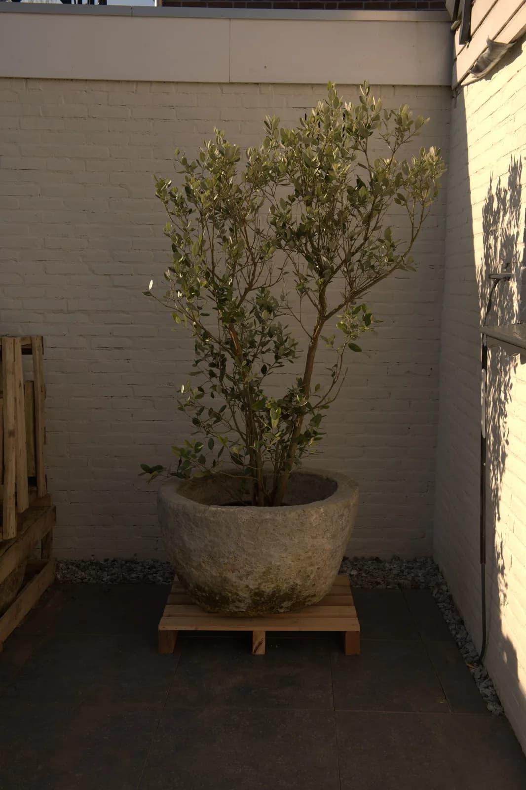 Antieke grijze jumbo plantenpot, rond (52×84), verweerde natuursteen met natuurlijke patina, handgemaakt in Indonesië foto 13