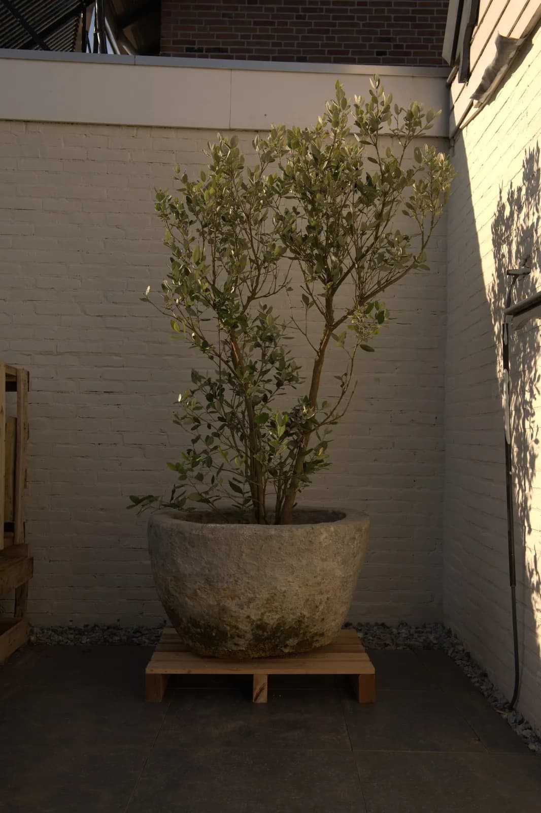 Antieke grijze jumbo plantenpot, rond (52×84), verweerde natuursteen met natuurlijke patina, handgemaakt in Indonesië foto 14