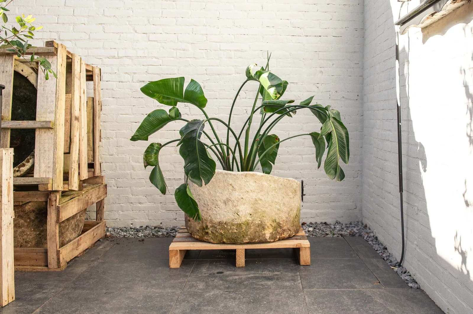 Natuurstenen pot met patina, beige, rond, lager model (24/43 x Ø70), verweerde natuursteen met natuurlijke patina, handgemaakt in Indonesië foto 11