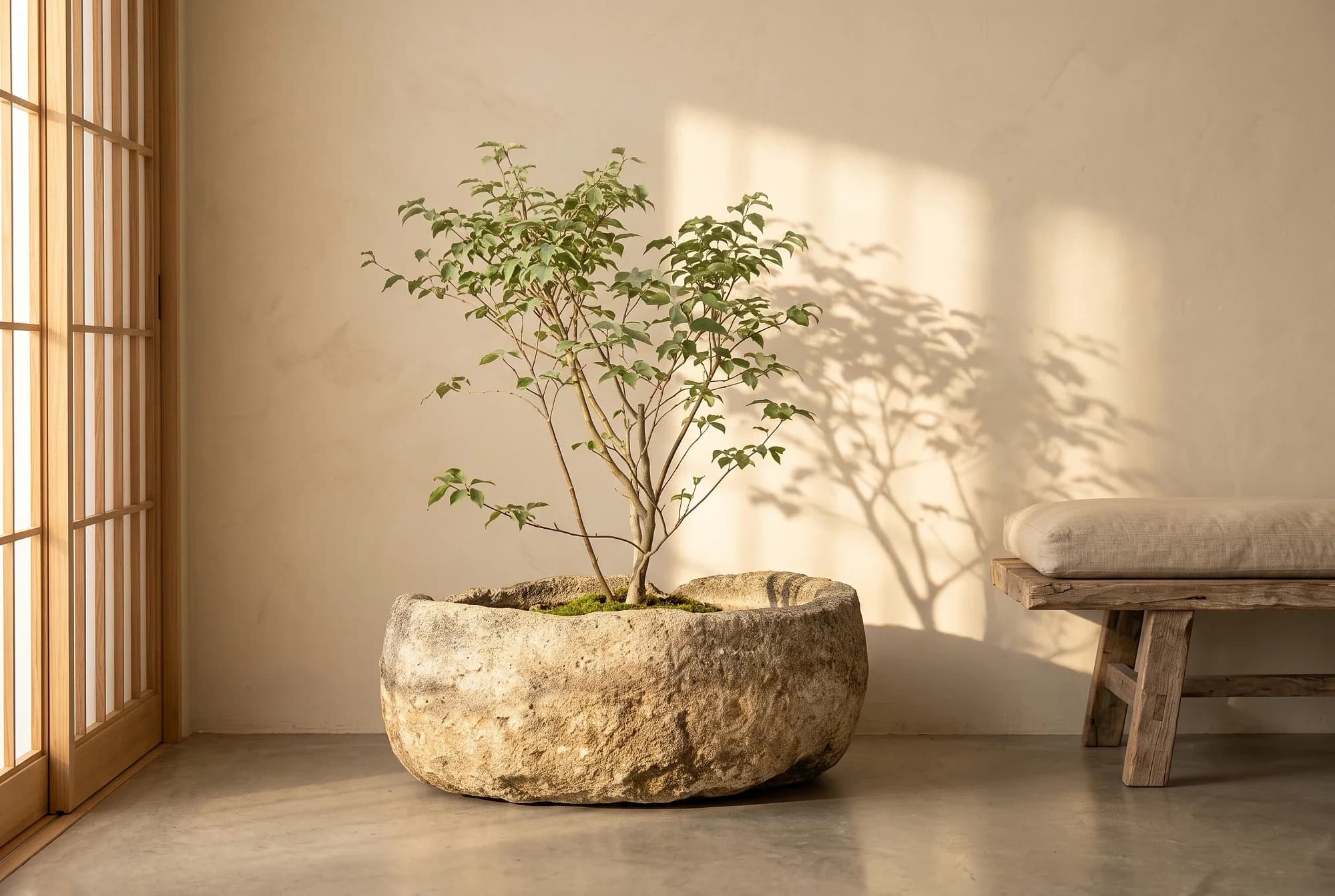 Massieve ovalen natuurstenen trog met dikke rand (27×78×63), verweerde kalksteen met natuurlijke patina, handgemaakt in Indonesië foto 3