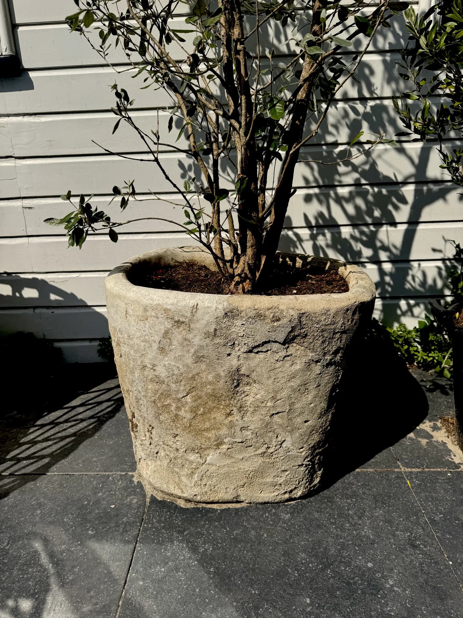 Lichte Beige Limestone plantenpot met robuuste afwerking, verweerde kalksteen met natuurlijke patina, handgemaakt in Indonesië foto 2