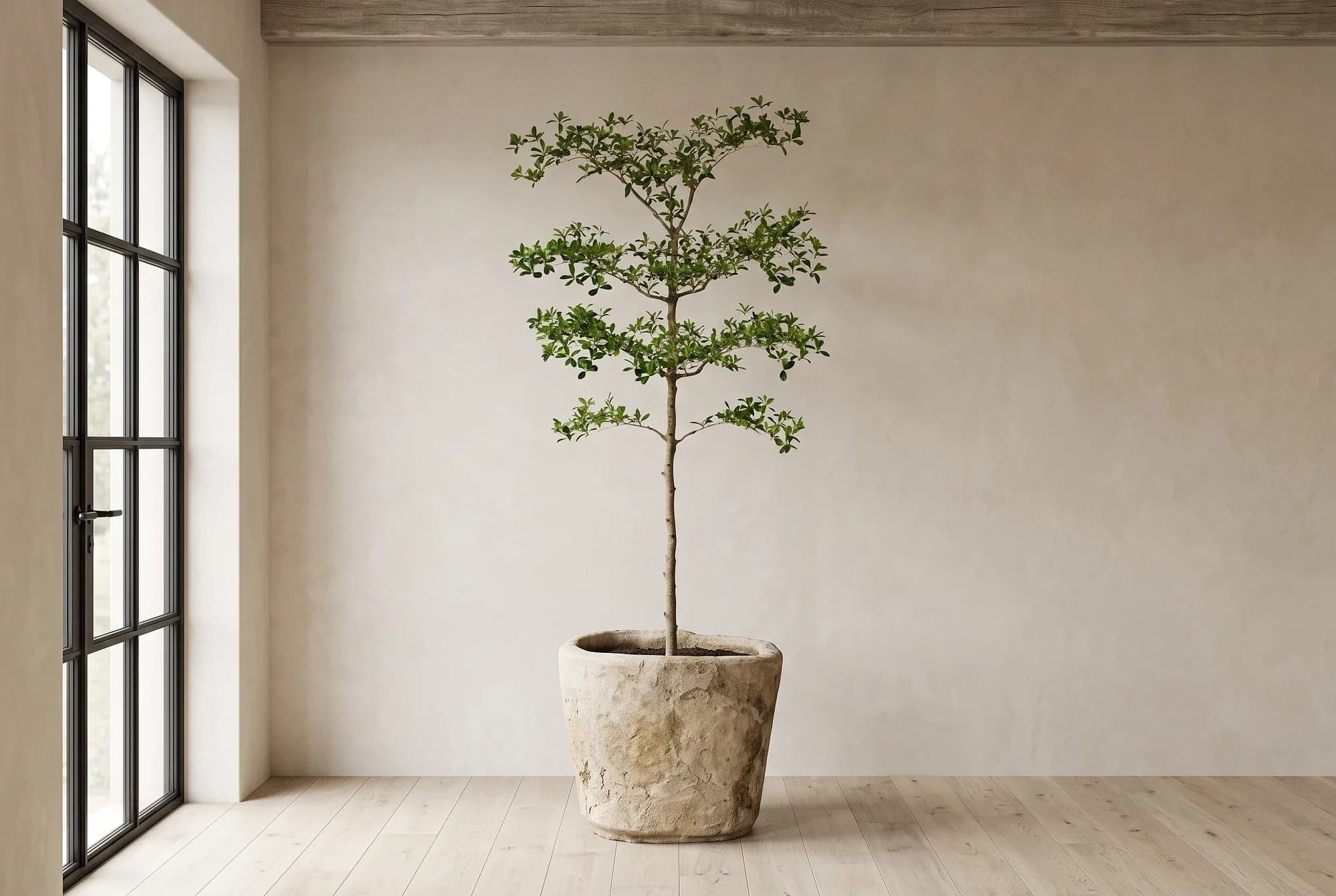 Lichte Beige Limestone plantenpot met robuuste afwerking, verweerde kalksteen met natuurlijke patina, handgemaakt in Indonesië foto 6