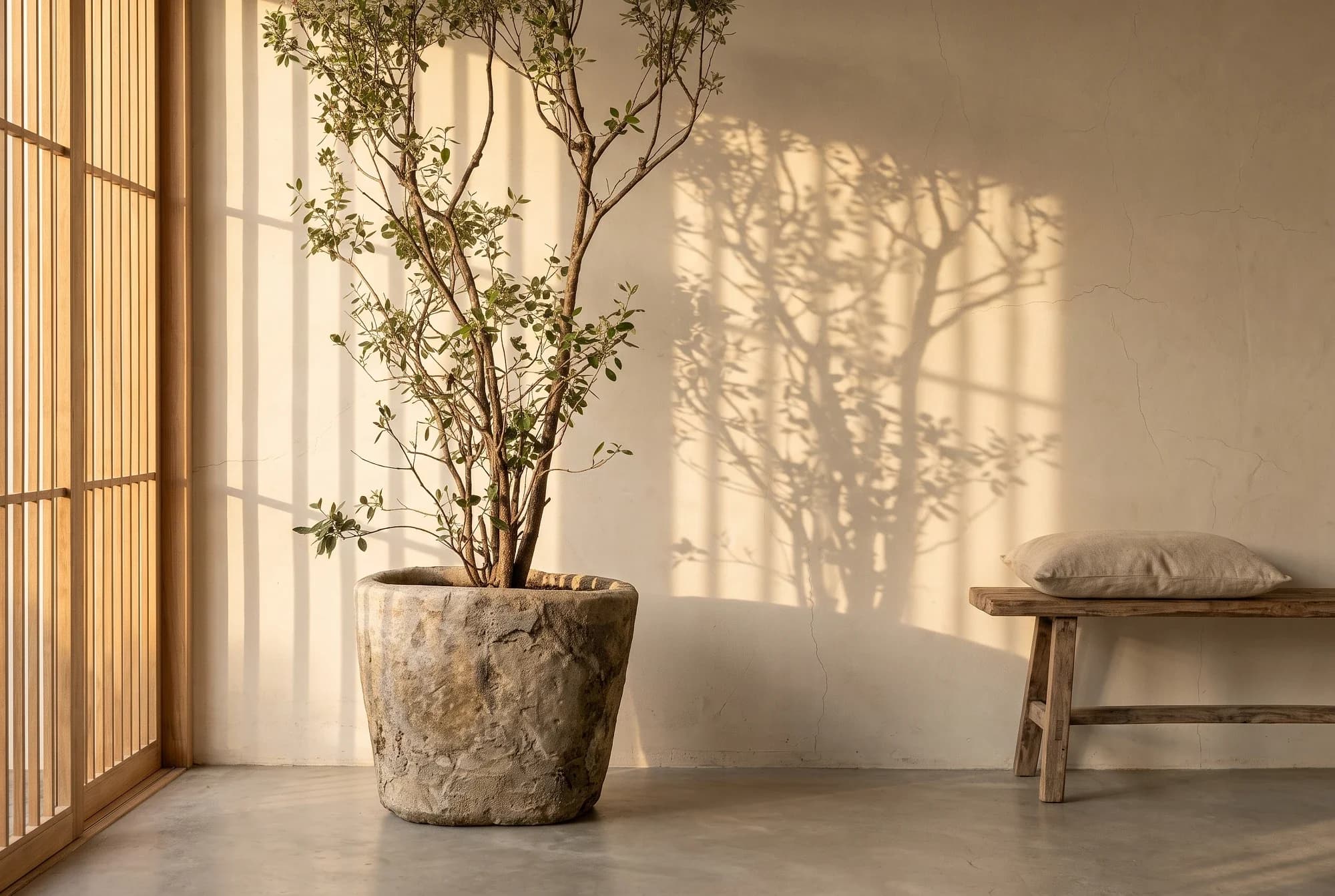 Lichte Beige Limestone plantenpot met robuuste afwerking, verweerde kalksteen met natuurlijke patina, handgemaakt in Indonesië foto 3