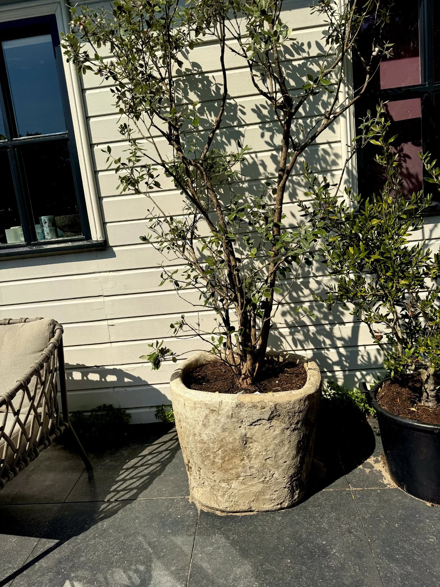 Lichte Beige Limestone plantenpot met robuuste afwerking, verweerde kalksteen met natuurlijke patina, handgemaakt in Indonesië foto 7