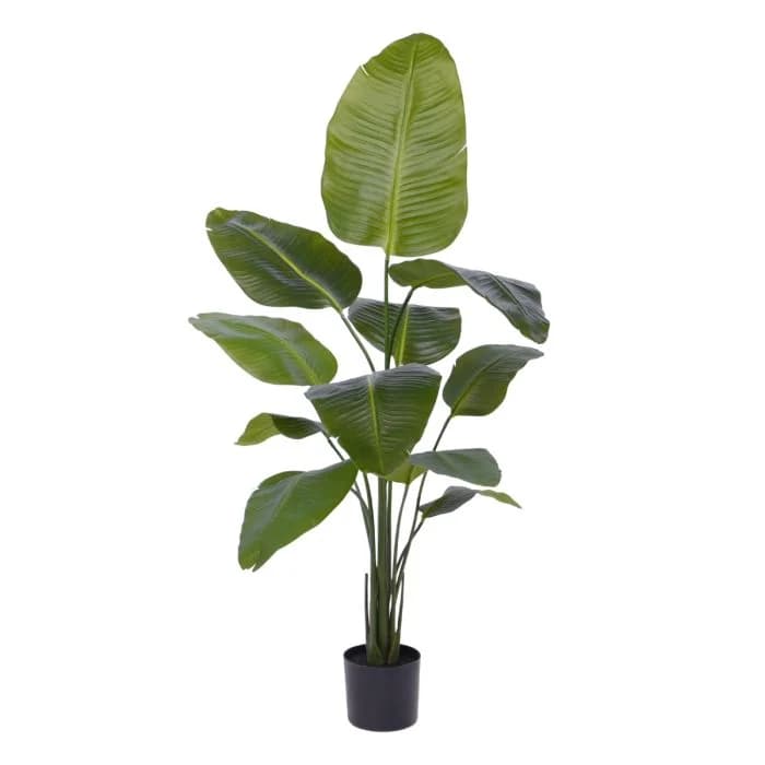 Strelitzia Nicolai kunstplant 150cm, natuurgetrouwe kunstplant