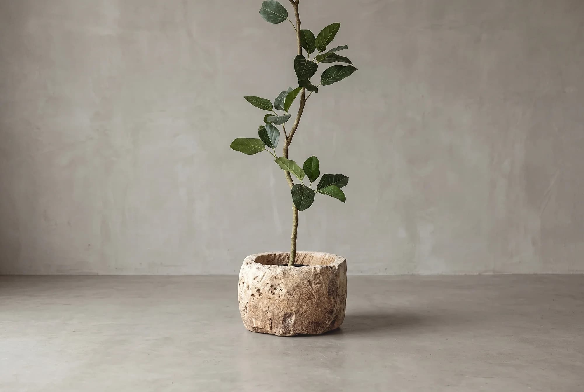 Ficus kunstboom 240cm, natuurgetrouwe kunstplant foto 2