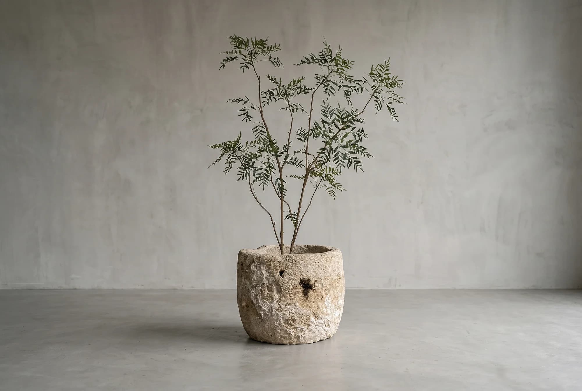 Meerstammige Sorbaria Sorbifolia kunstboom 220cm, natuurgetrouwe kunstplant foto 2