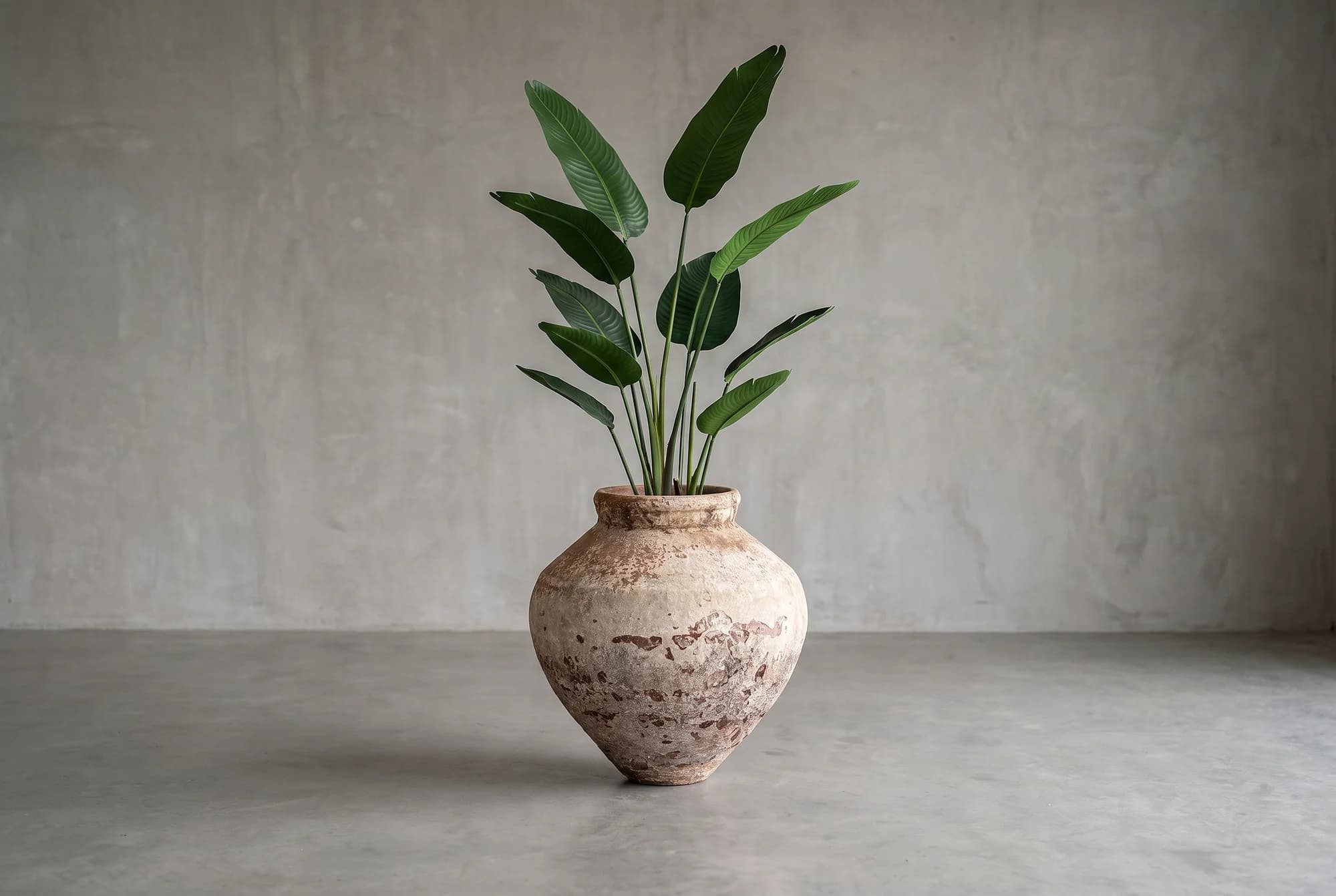 Strelitzia Nicolai kunstplant 150cm, natuurgetrouwe kunstplant foto 2