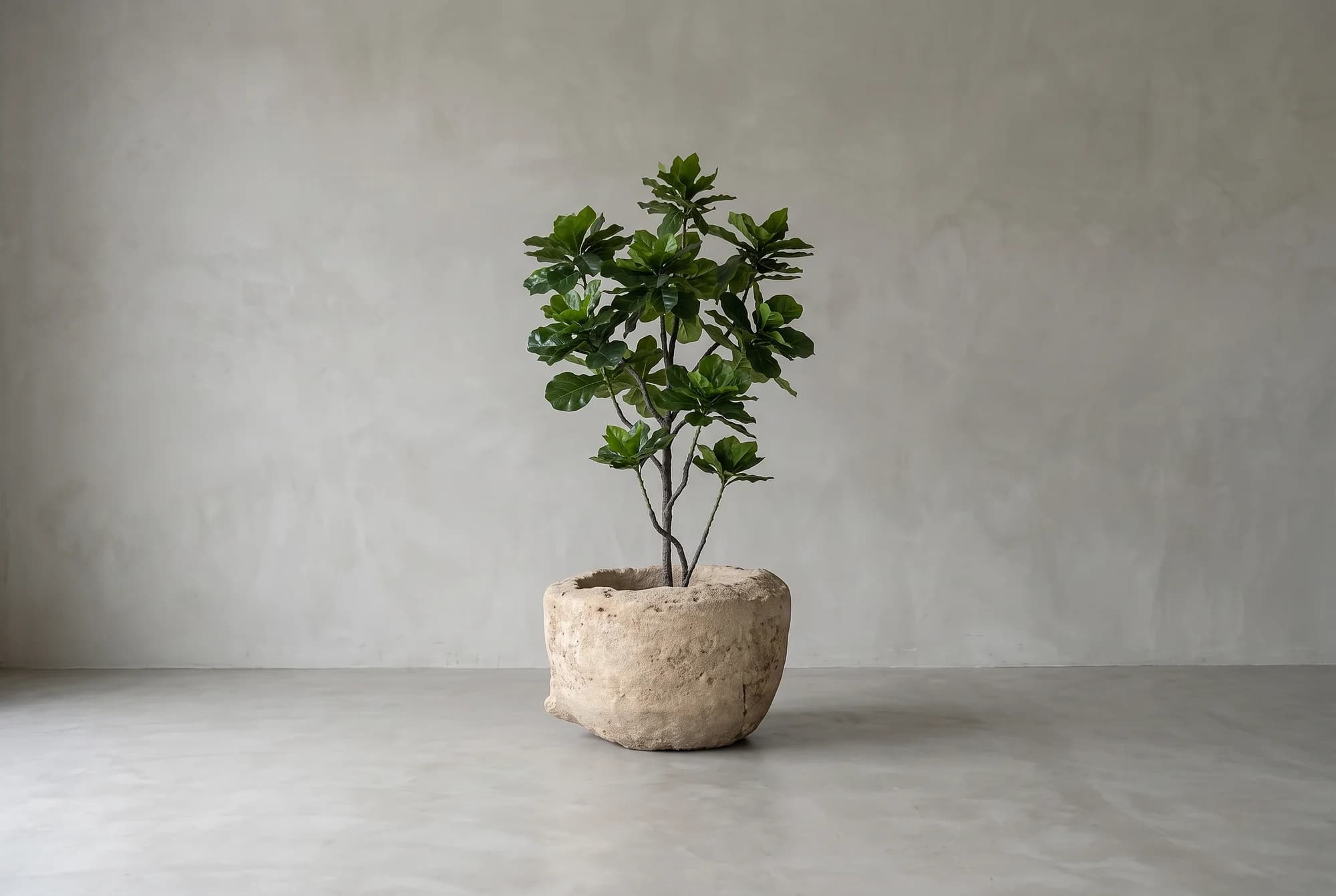 Heliotropium Kunstplant 155cm, natuurgetrouwe kunstplant foto 2