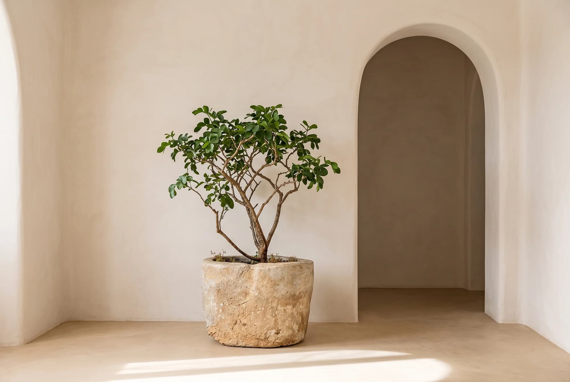 Imposante natuurstenen pot, beige, rond (55×80), verweerde kalksteen met natuurlijke patina, handgemaakt in Indonesië foto 4