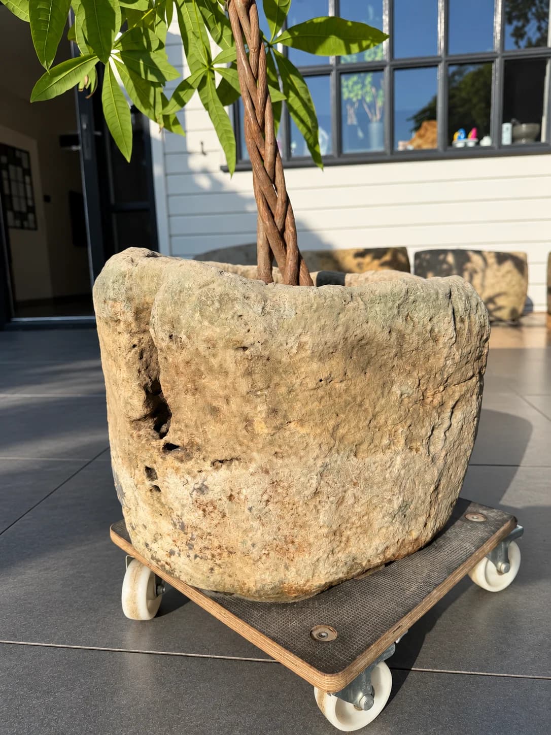 Natuurstenen pot, zandbeige, hoog en rond met natuurlijke holte, verweerde kalksteen met natuurlijke patina, handgemaakt in Indonesië foto 3