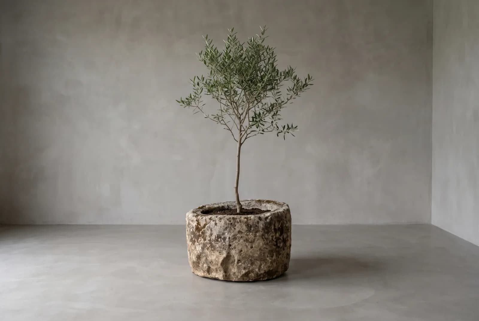 Natuurstenen pot, beige, rond en zwaar verweerd, verweerde kalksteen met natuurlijke patina, handgemaakt in Indonesië foto 2