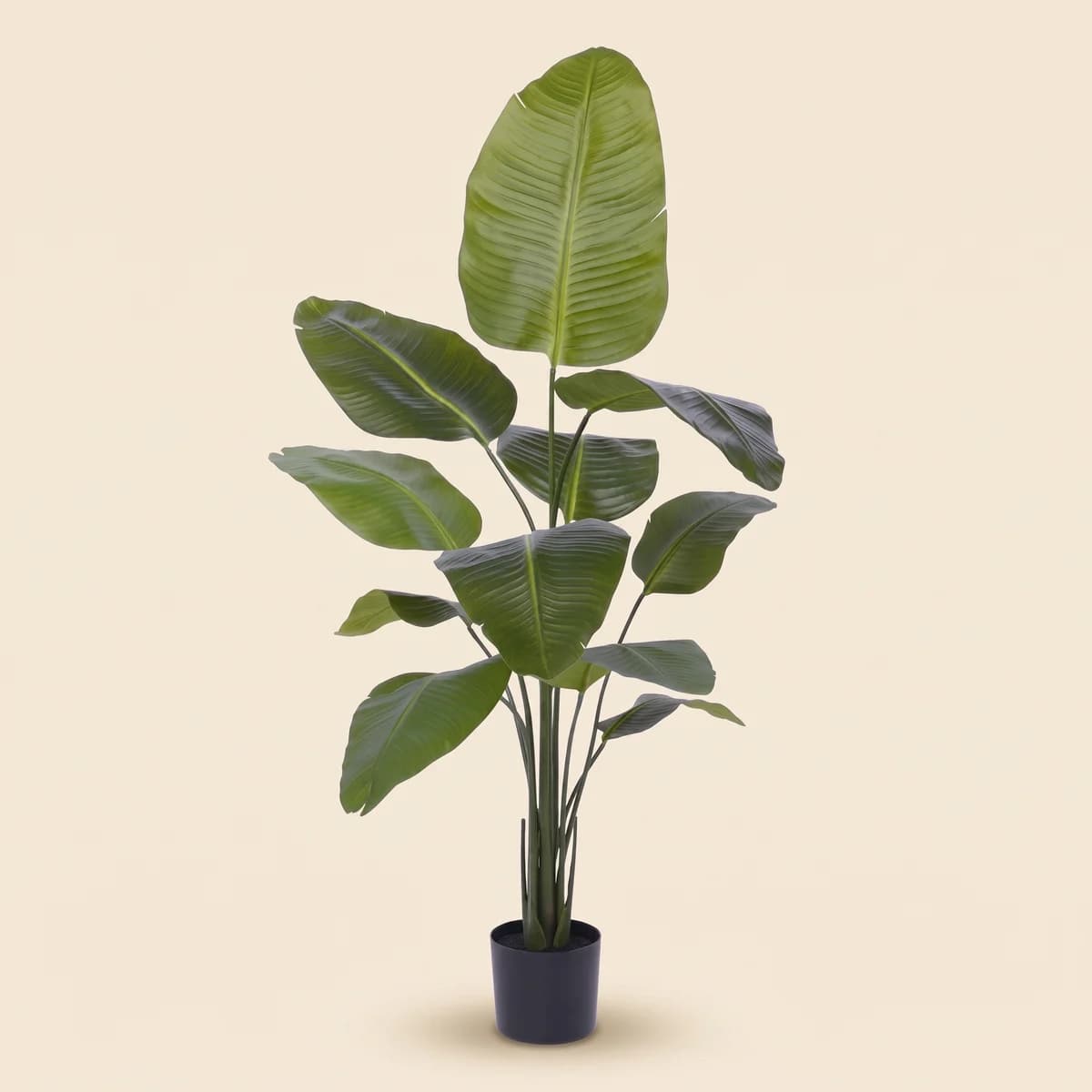 Realistische kunstplant van Montung, met natuurgetrouw blad