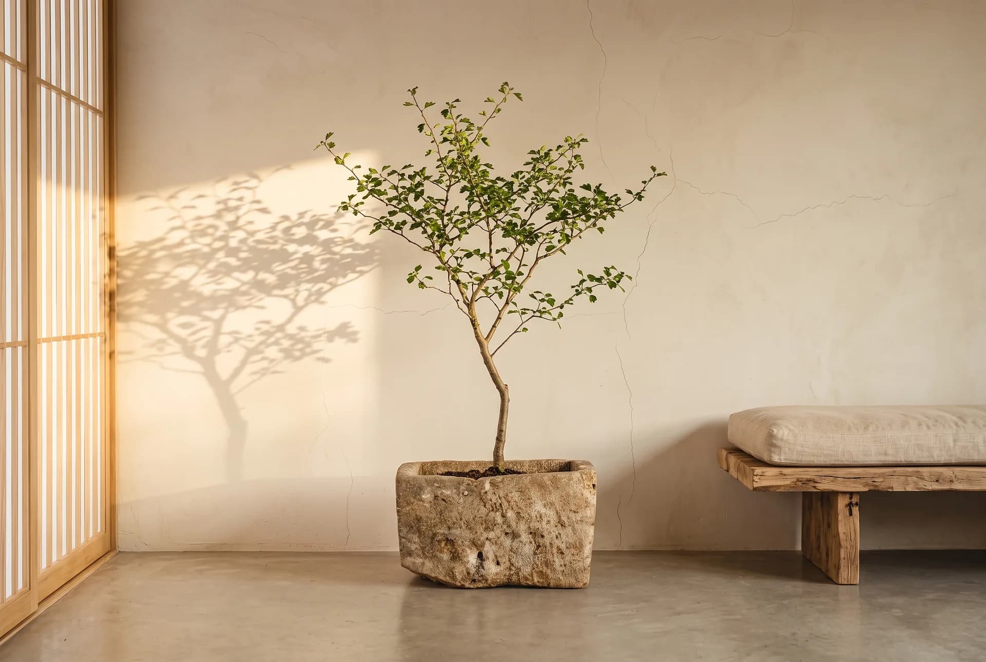 Natuurstenen pot in interieur